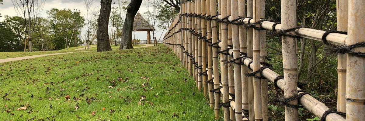 bamboo fence